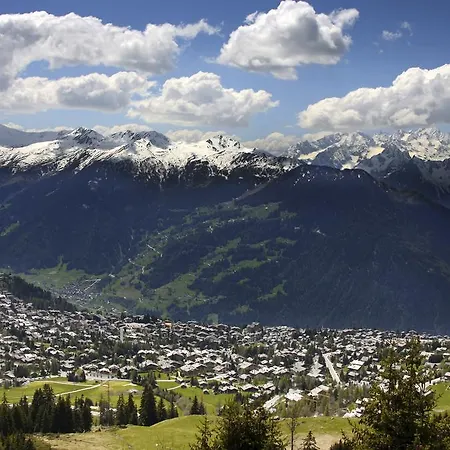Daire Mondzeu Verbier